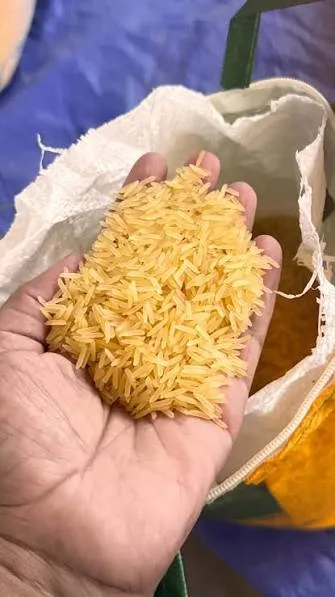 رز العزيز ذهبي