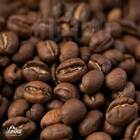 بن يمني وسط سادة