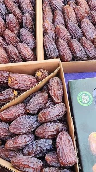 الريان تمر مجدول بالكاجو